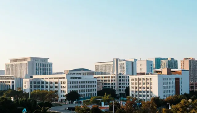 软件开发中常见问题及处理策略
